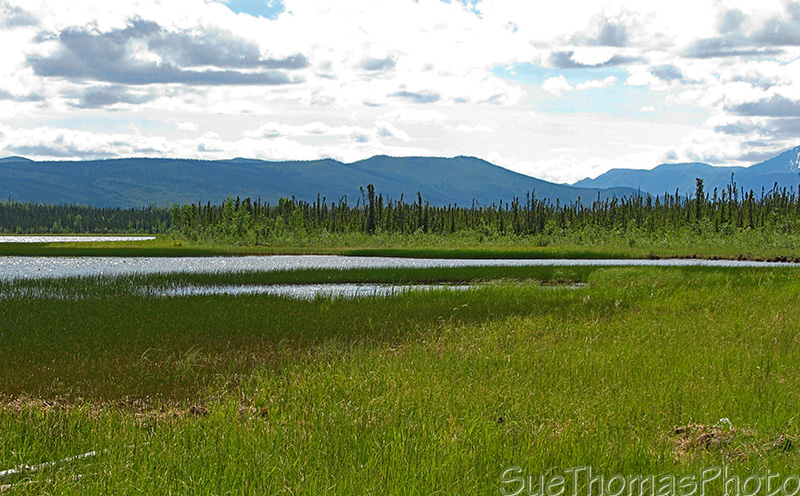 Snag Lake / Enger Lake