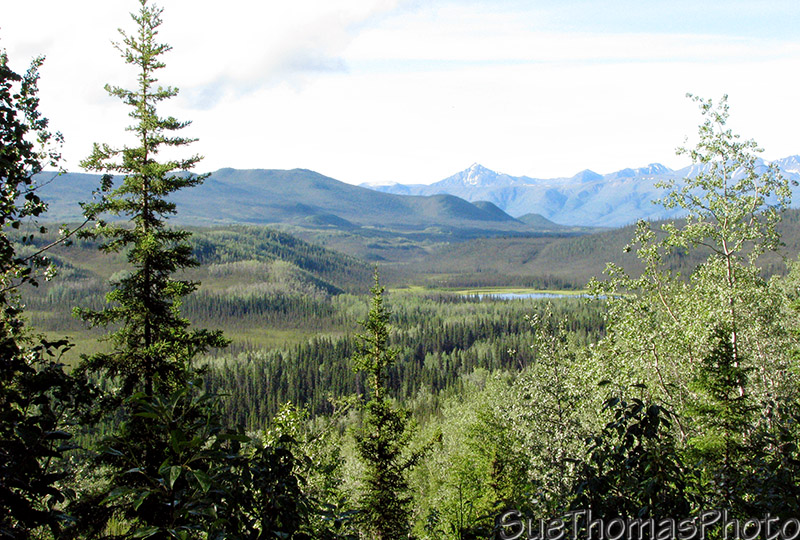View from road into Snag, Yukon