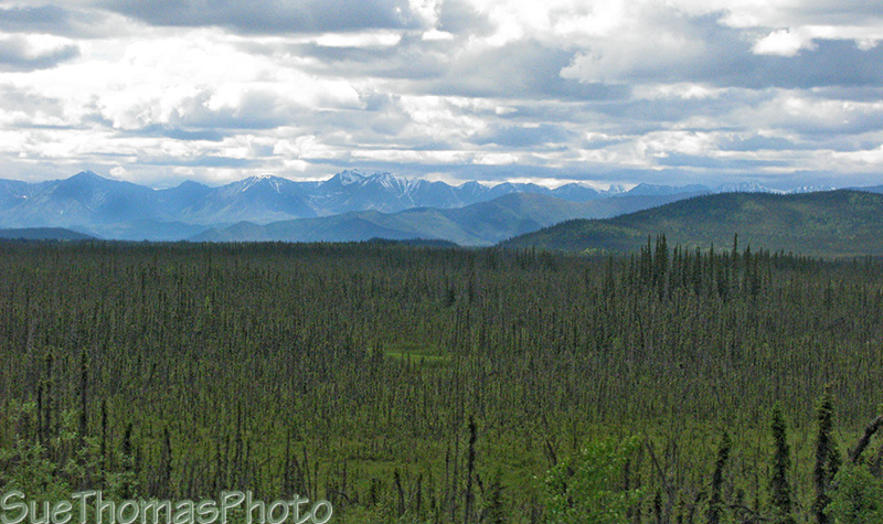View from Alaska Highway