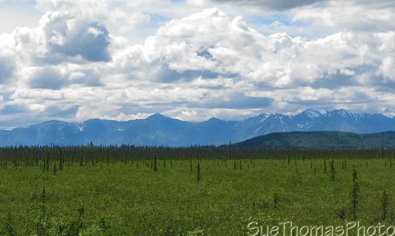 Alaska highway view