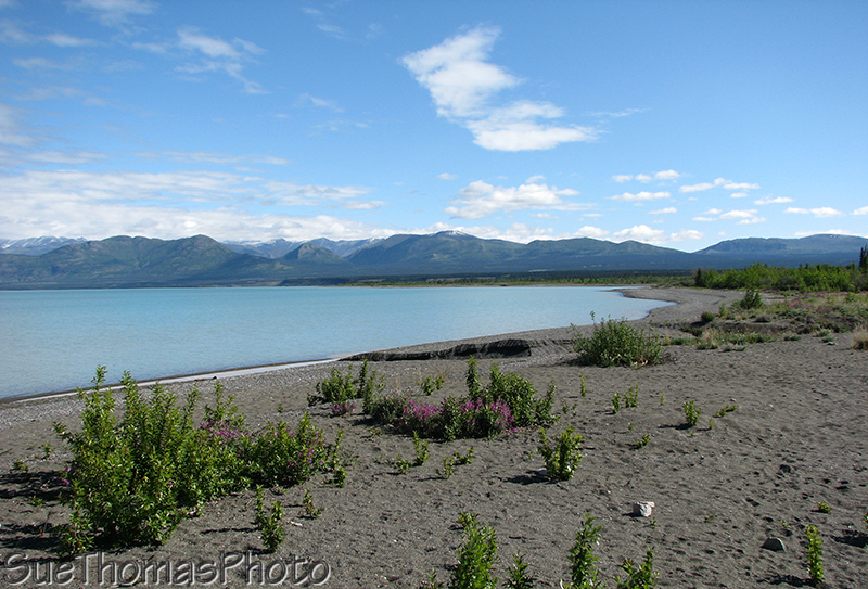 Kluane Lake, Yukon