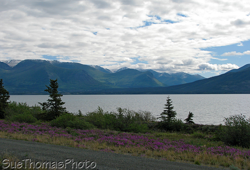 Kluane Lake rest area