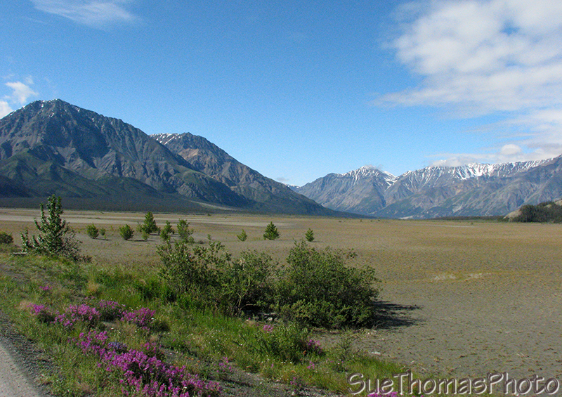 Slims River flats at Kluane Lake