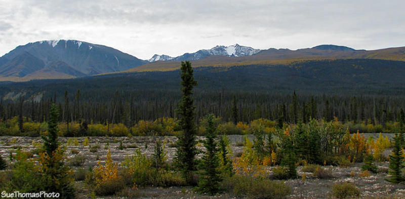 Kluane Lake, Yukon