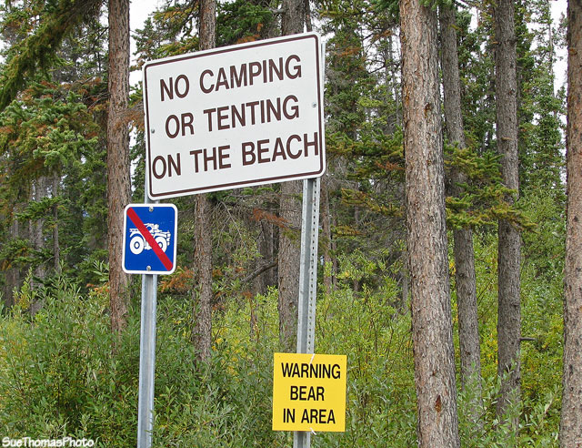 Pine Lake Yukon government campground near Haines Junction