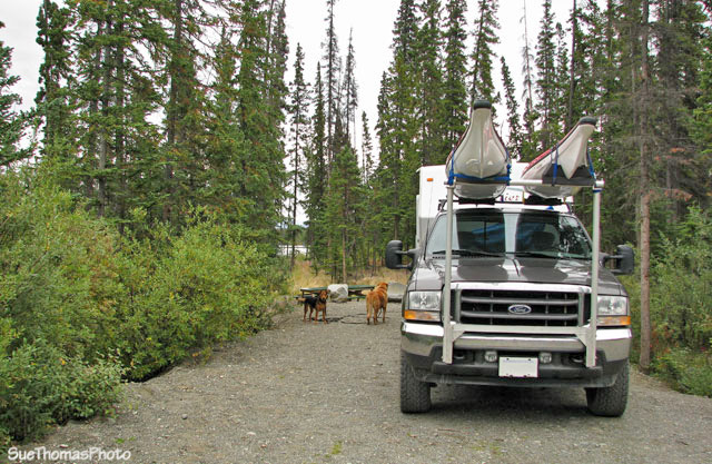 Campsite at Pine Lake Yukon Gov't campground near Haines Junction