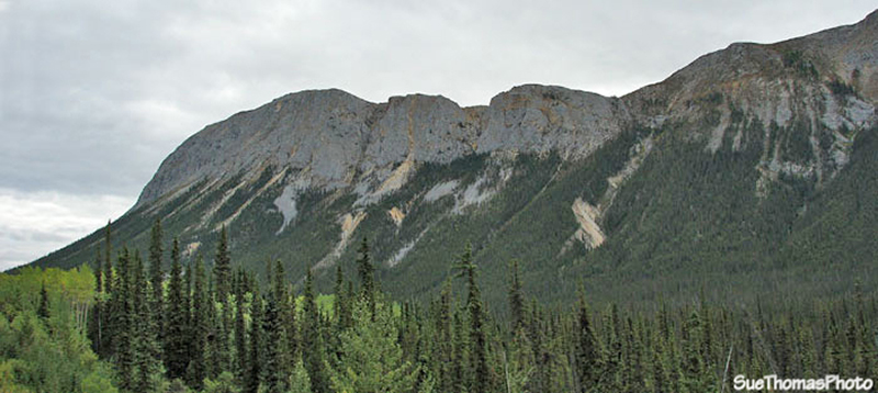 Alaska Highway, Whitehorse to Watson Lake