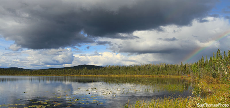 Camping near Snag, Yukon Territory