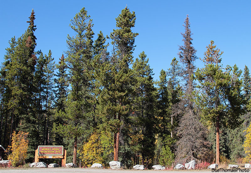 Morley River Recreation Site, Alaska Highway, Yukon