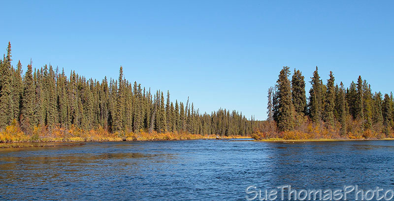Morley River, Yukon