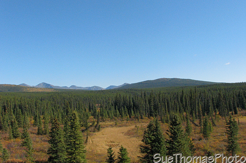 Southbound on the Alaska Highway, Yukon