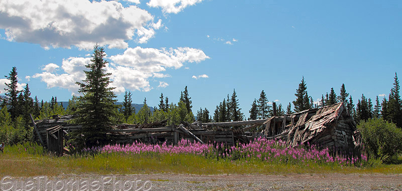 Silver City lodge, Kluane Lake, Yukon