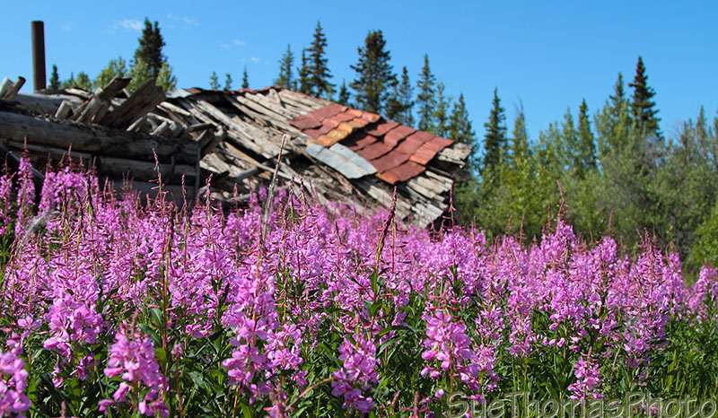 Silver City - Kluane Lake, Yukon