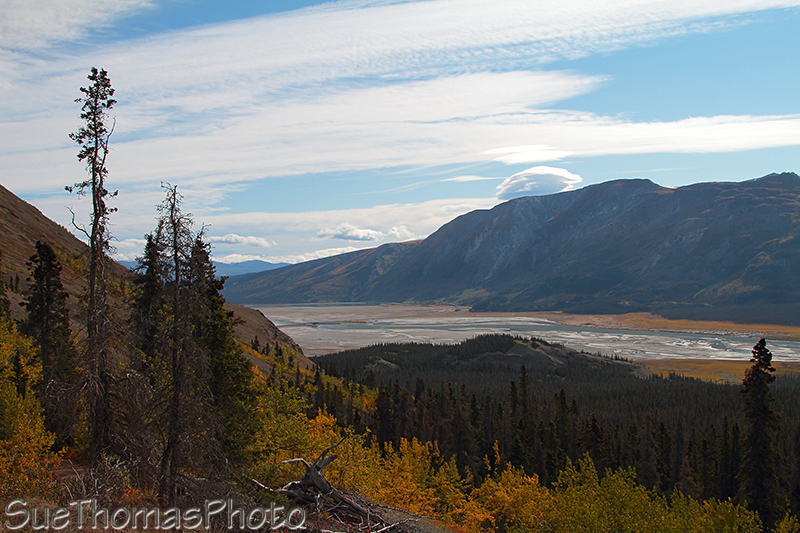 Sheep Mountain, Sheep Creek hike, Kluane National Park, Yukon