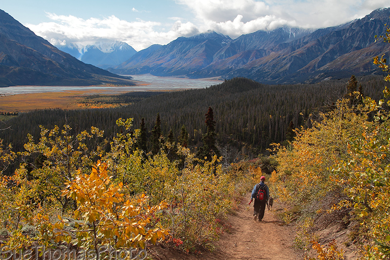 Sheep Mountain, Sheep Creek hike, Kluane National Park, Yukon