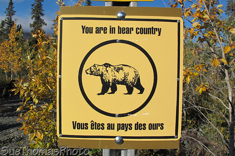 You are in Bear Country sign