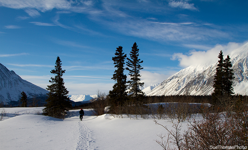 Alaska Highway in Winter