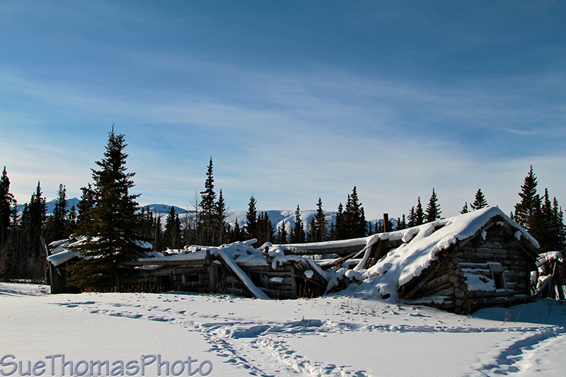 Silver City Lodge, Yukon, Kluane Lake