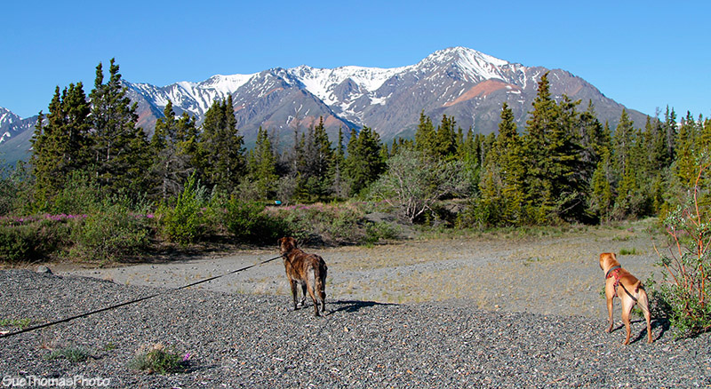 Hiking at Congdon Creek
