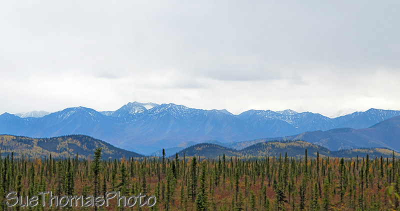 Wrangell-St. Elias Mountains