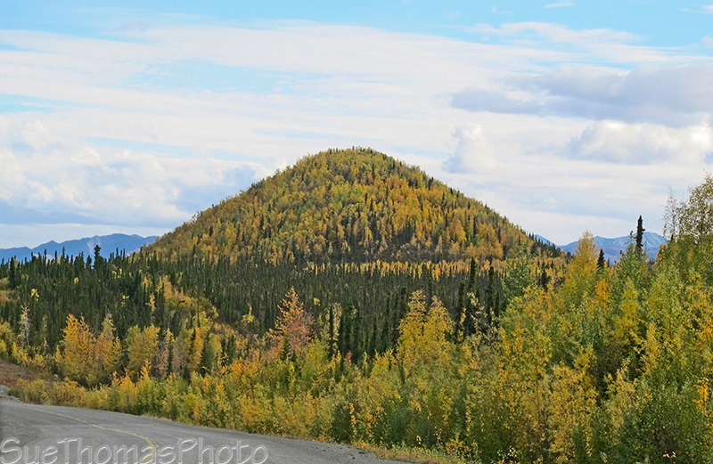 fall colours alaska highway
