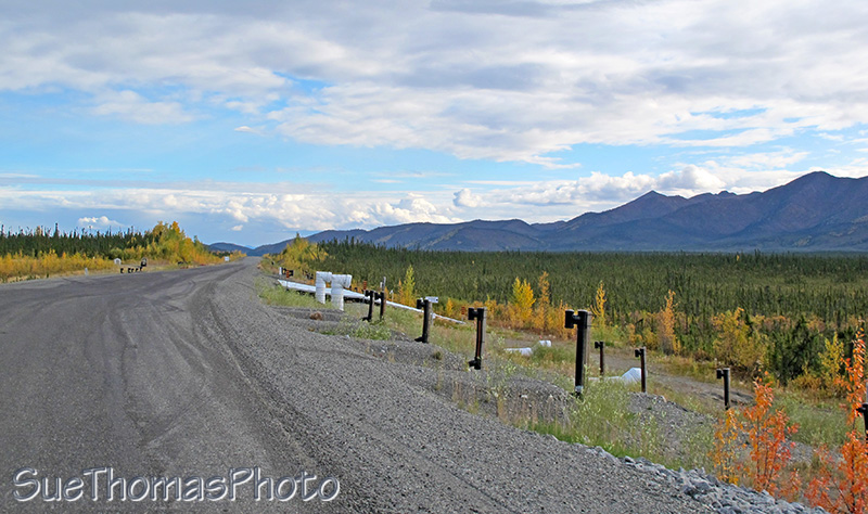 permafrost test section