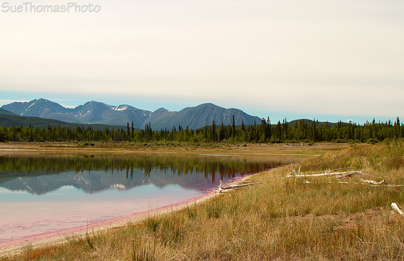 Takhini Salt Flats by the Alaska Highway
