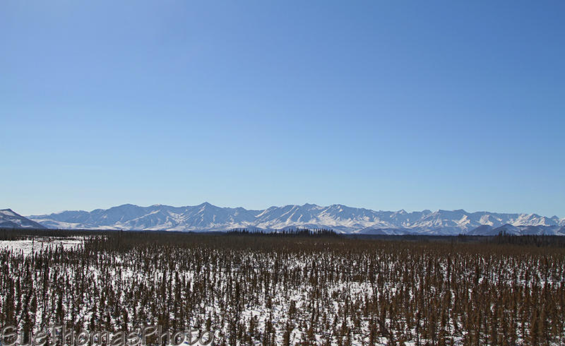 Alaska Hwy