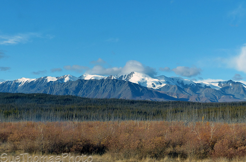 Alaska Highway