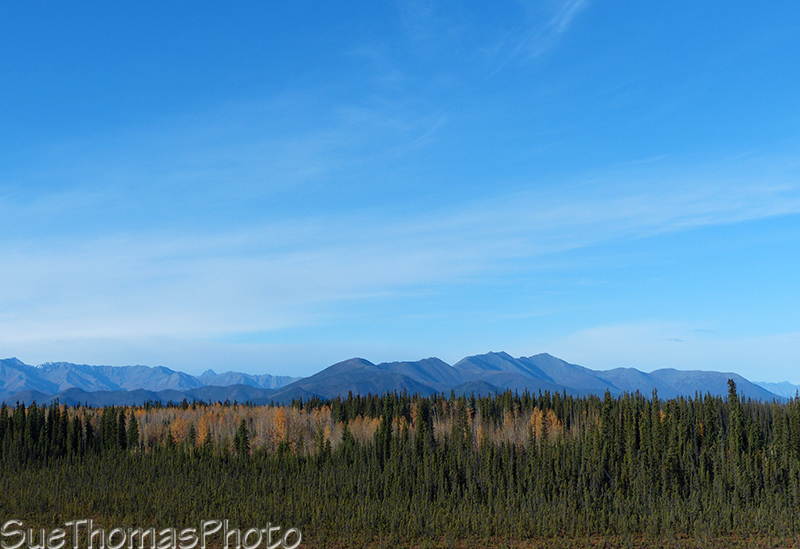 Alaska Highway