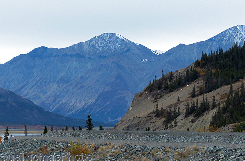 Kluane