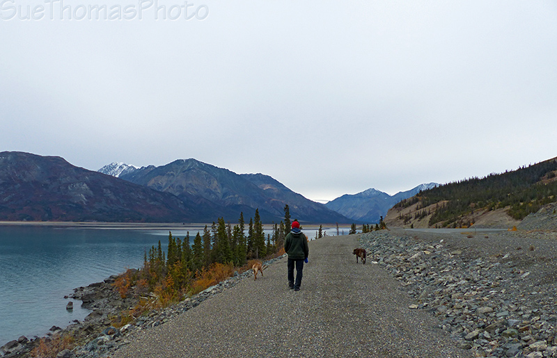 Kluane