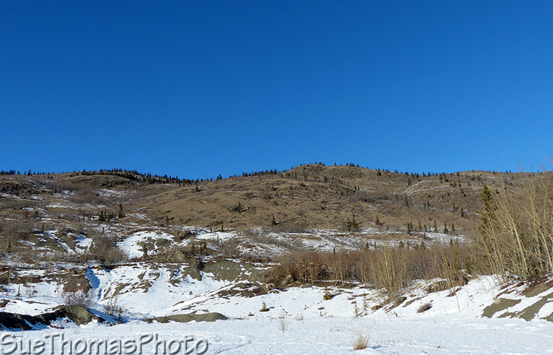 Not much snow on the Yukon mountains