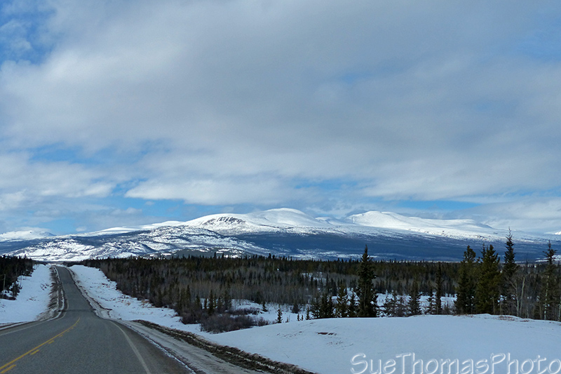 Alaska Highway, north of Whitehorse
