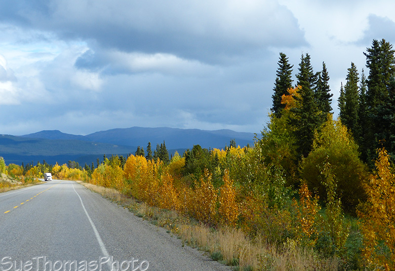 Fall colours along the Alaska Highway