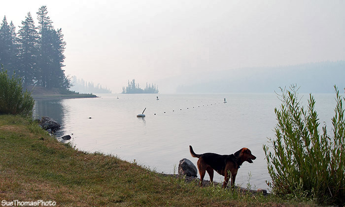 Lac La Hache Provincial Park campground, British Columbia