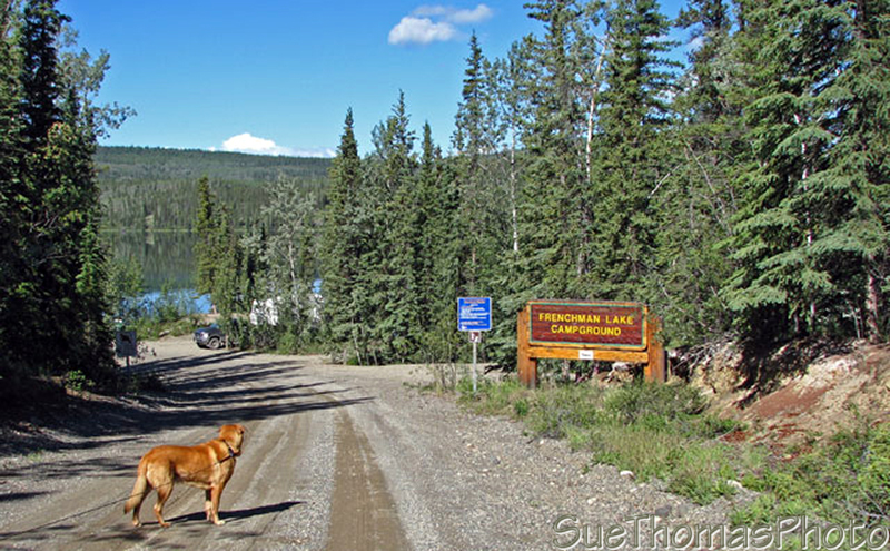 Frenchman Lake, Yukon