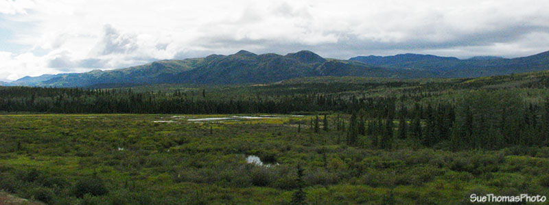 Westbound on the Campbell Highway in Yukon