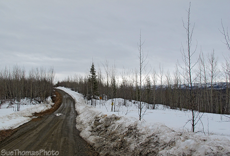 Blind Creek Road, Faro