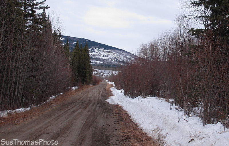 Blind Creek Road, Faro