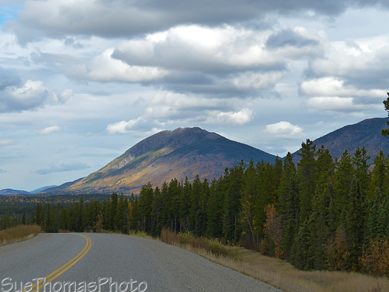North on the Campbell Highway