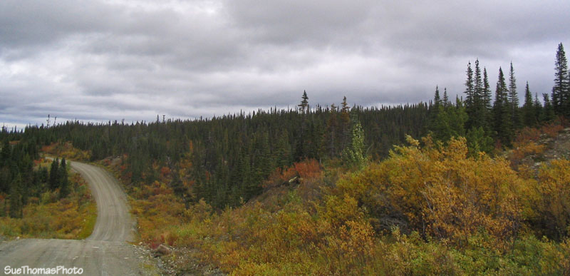 Northbound on the South Canol Road, Yukon