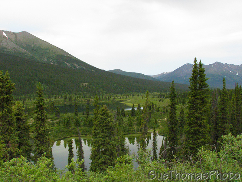 Lapie Lake, South Canol Road, Yukon