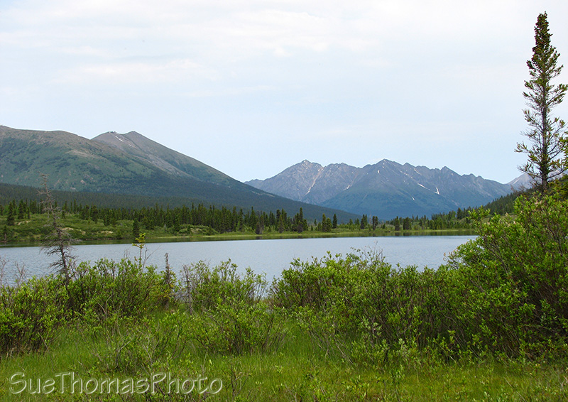 Lapie Lake, South Canol Road, Yukon