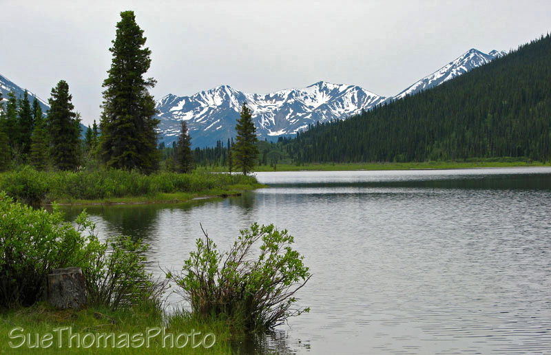 Lapie Lake, South Canol Road, Yukon