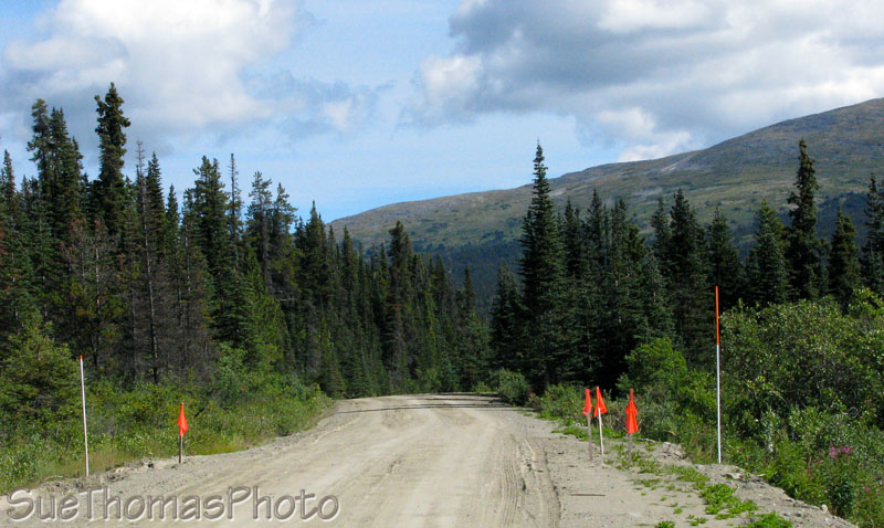 View northward on the South Canol Rd at km 14