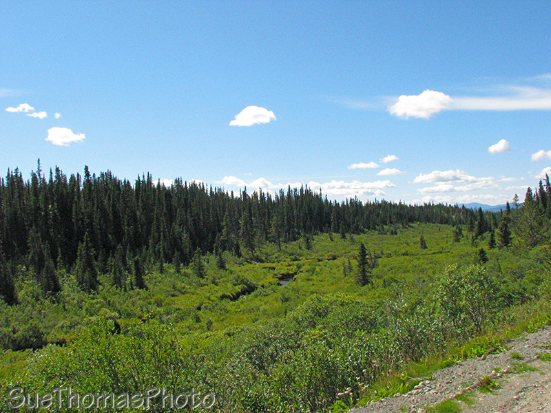 km 14 on the South Canol Road in Yukon
