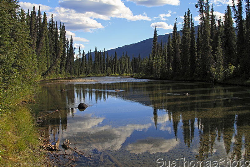 Rose River on South Canol in Yukon