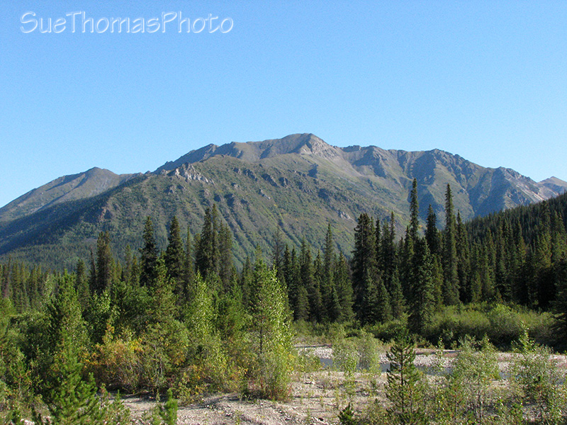 km 139 South Canol Road in Yukon