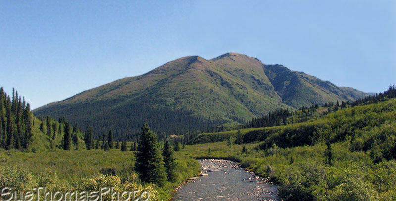 Upper Sheep Creek at km 152 on the South Canol Road in Yukon